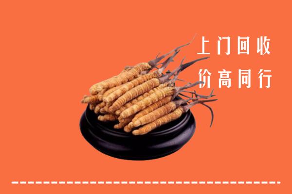 双辽市回收散虫草