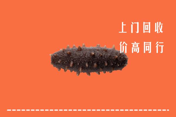 双辽市回收海参
